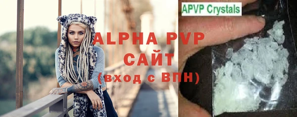 PSILOCYBIN Россошь