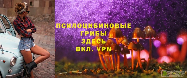 винт Протвино