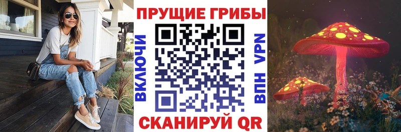 Галлюциногенные грибы Magic Shrooms  Лесной 